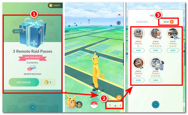 Locate Raid Section